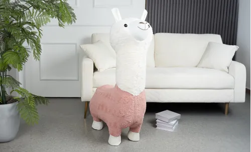 Amenajare Camera "Tineret"