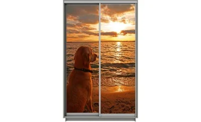 Dulap Print 2 Usi 1015, L100 x H220 x A60