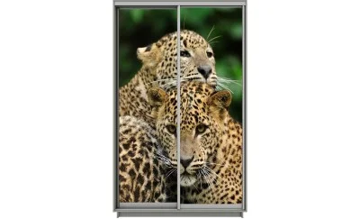 Dulap Print 2 Usi 1158, L100 x H220 x A60