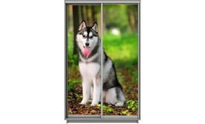 Dulap Print 2 Usi 1159, L100 x H220 x A60