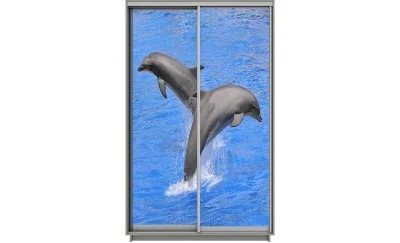 Dulap Print 2 Usi 1281, L100 x H220 x A60