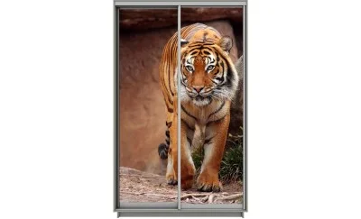 Dulap Print 2 Usi 169, L100 x H220 x A60