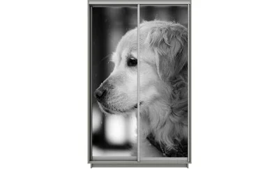 Dulap Print 2 Usi 1817, L100 x H220 x A60