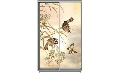 Dulap Print 2 Usi 1832, L100 x H220 x A60