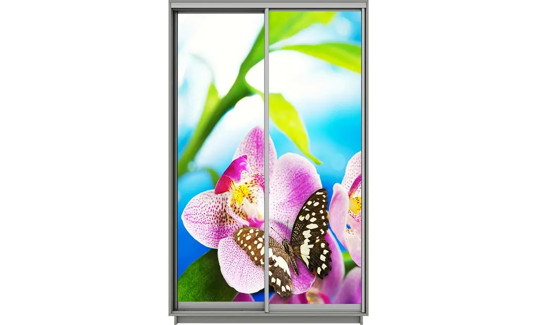 Dulap Print 2 Usi 1983, L100 x H220 x A60