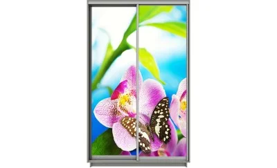 Dulap Print 2 Usi 1983, L100 x H220 x A60