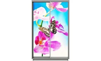 Dulap Print 2 Usi 1985, L100 x H220 x A60