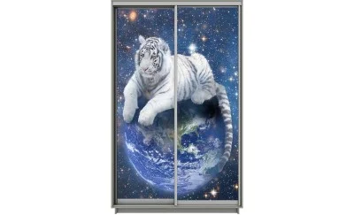 Dulap Print 2 Usi 443, L100 x H220 x A60