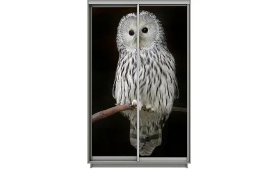 Dulap Print 2 Usi 597, L100 x H220 x A60