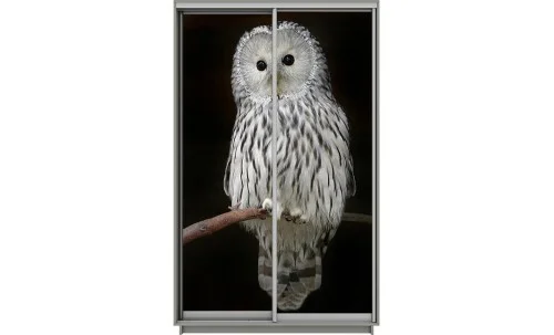 Dulap Print 2 Usi 597, L100 x H220 x A60