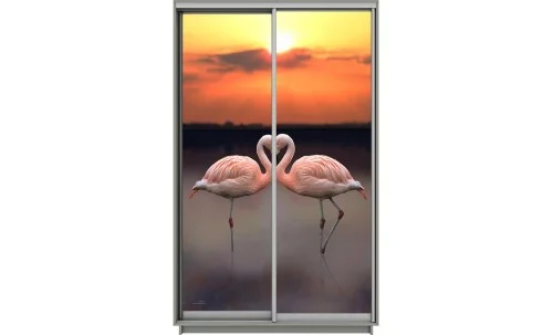 Dulap Print 2 Usi 730, L100 x H220 x A60