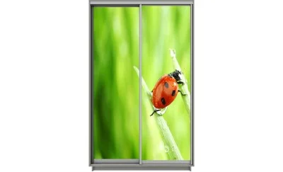 Dulap Print 2 Usi 996, L100 x H220 x A60