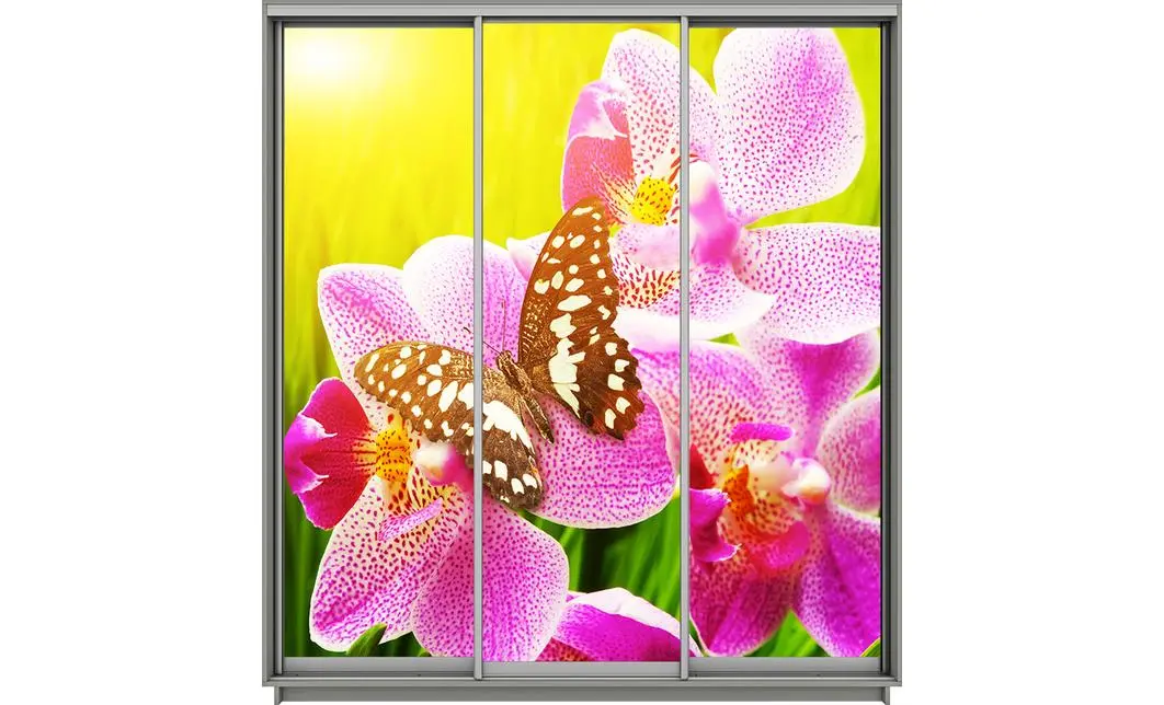 Dulap Print 3 Usi 1984, L190 x H220 x A60