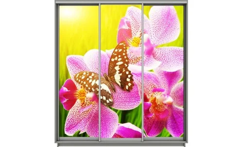 Dulap Print 3 Usi 1984, L190 x H220 x A60