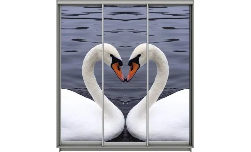 Dulap Print 3 Usi 306, L190 x H220 x A60