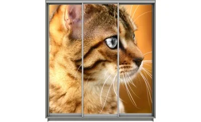 Dulap Print 3 Usi 473, L190 x H220 x A60