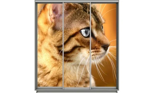 Dulap Print 3 Usi 473, L190 x H220 x A60