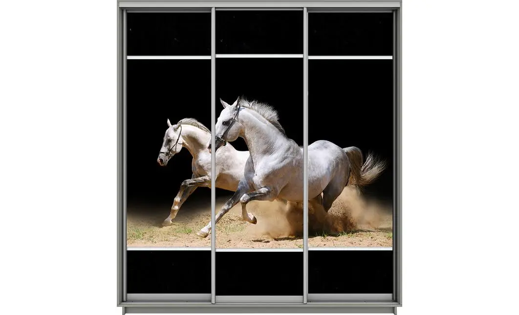 Dulap Print 3 Usi 68, L190 x H220 x A60