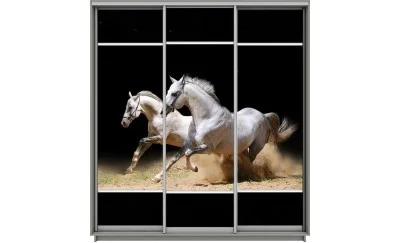 Dulap Print 3 Usi 68, L190 x H220 x A60