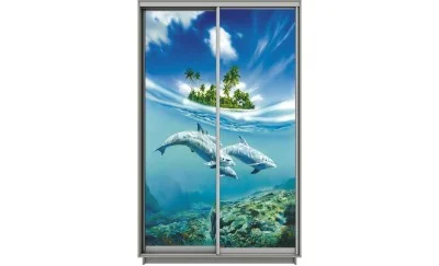 Dulap Print 2 Usi 1719, L100 x H220 x A60