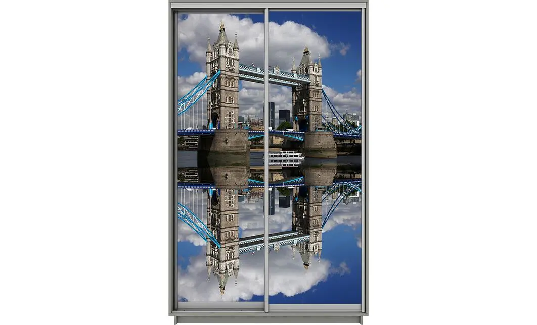 Dulap Print 2 Usi 3008, L100 x H220 x A60