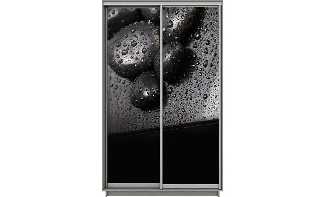 Dulap Print 2 Usi 2447, L100 x H220 x A60