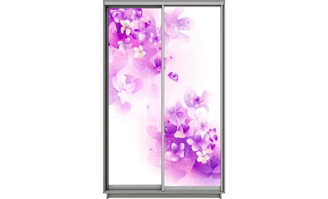 Dulap Print 2 Usi 2810, L100 x H220 x A60