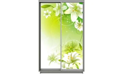 Dulap Print 2 Usi 2816, L100 x H220 x A60