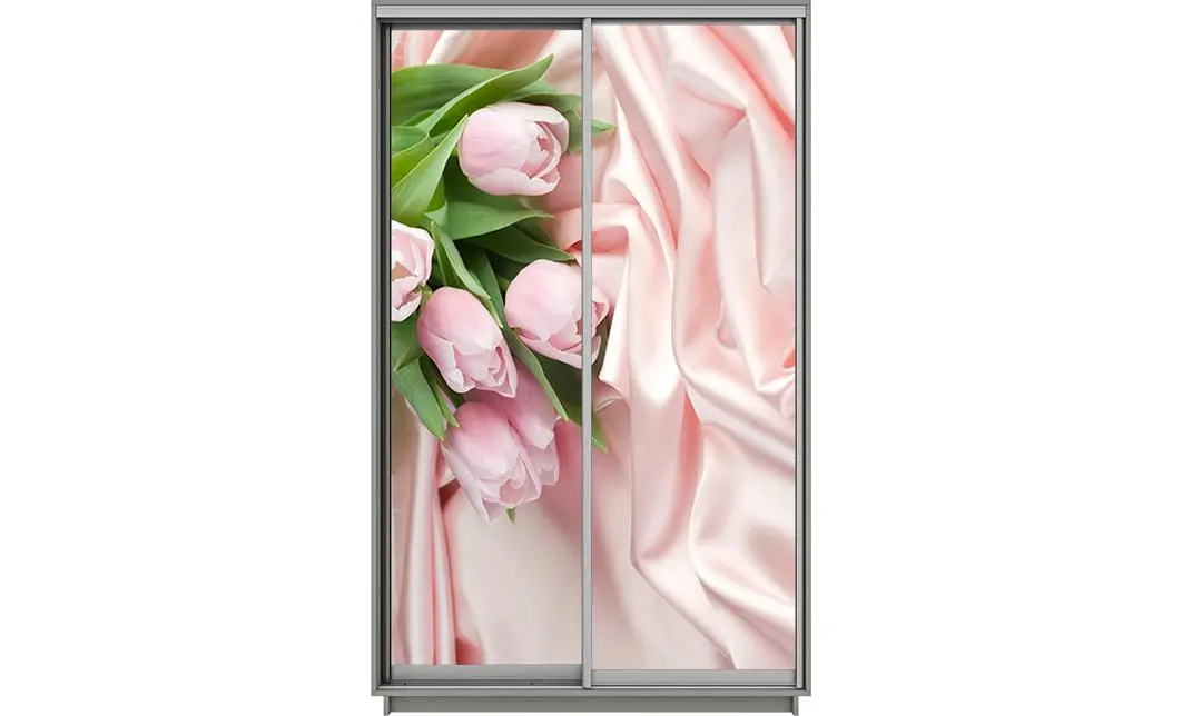 Dulap Print 2 Usi 3053, L100 x H220 x A60