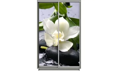 Dulap Print 2 Usi 3071, L100 x H220 x A60