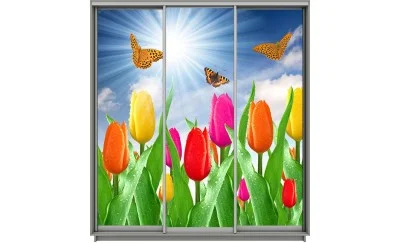 Dulap Print 3 Usi 1076, L270 x H220 x A60