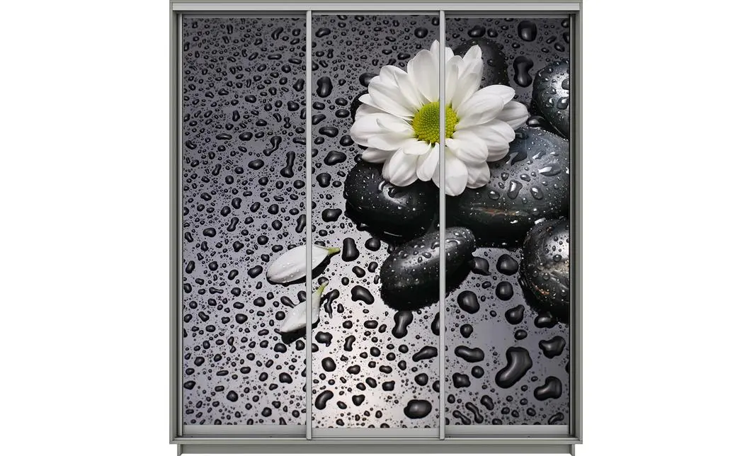 Dulap Print 3 Usi 1149, L270 x H220 x A60