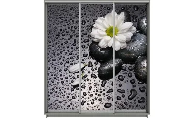 Dulap Print 3 Usi 1149, L270 x H220 x A60