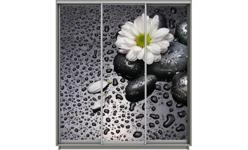 Dulap Print 3 Usi 1149, L270 x H220 x A60