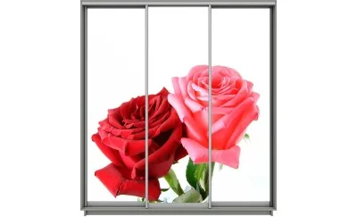 Dulap Print 3 Usi 1376, L270 x H220 x A60