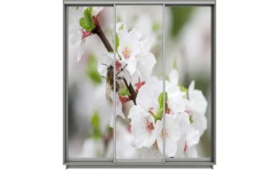 Dulap Print 3 Usi 1416, L270 x H220 x A60