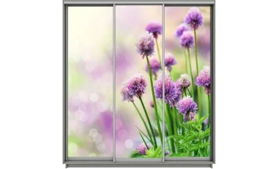 Dulap Print 3 Usi 1486, L270 x H220 x A60