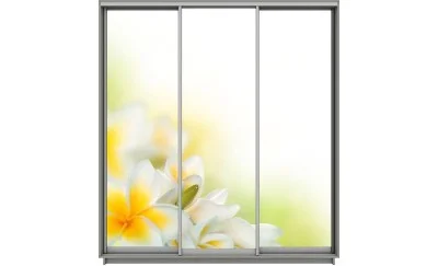 Dulap Print 3 Usi 1493, L270 x H220 x A60