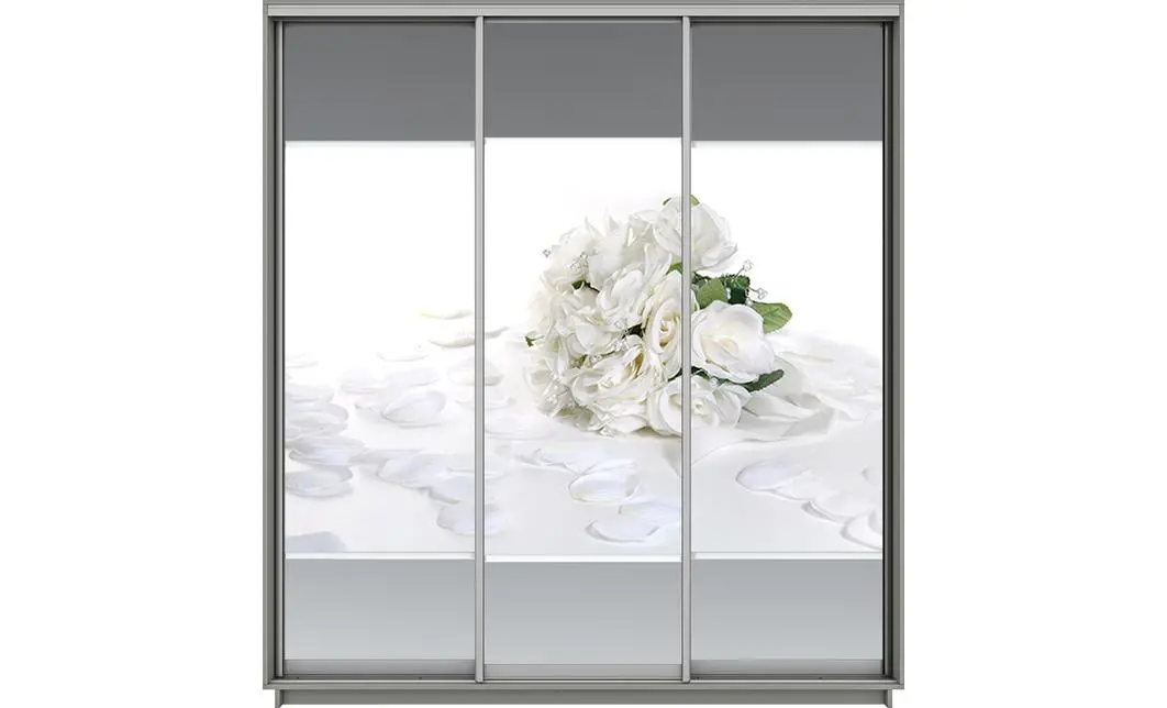 Dulap Print 3 Usi 1501, L270 x H220 x A60