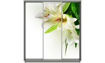 Dulap Print 3 Usi 1502, L270 x H220 x A60