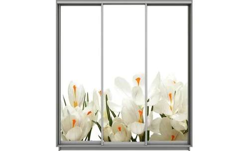 Dulap Print 3 Usi 1518, L270 x H220 x A60