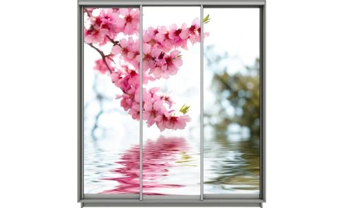 Dulap Print 3 Usi 1523, L270 x H220 x A60