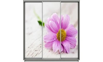 Dulap Print 3 Usi 1795, L270 x H220 x A60