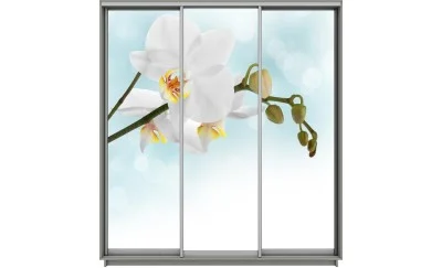 Dulap Print 3 Usi 1800, L270 x H220 x A60