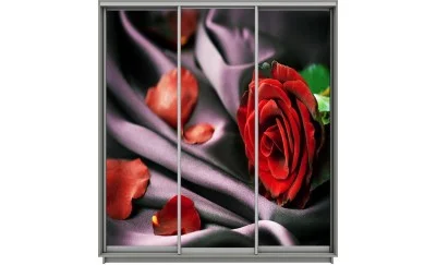 Dulap Print 3 Usi 1805, L270 x H220 x A60