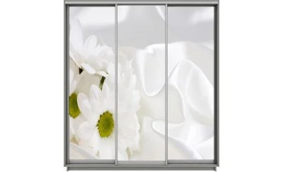 Dulap Print 3 Usi 2066, L270 x H220 x A60