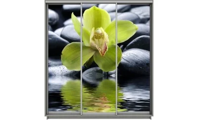 Dulap Print 3 Usi 2097, L270 x H220 x A60