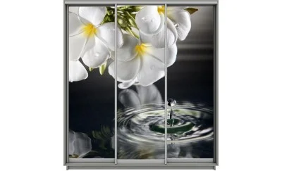 Dulap Print 3 Usi 2098, L270 x H220 x A60