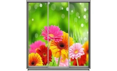 Dulap Print 3 Usi 2115, L270 x H220 x A60