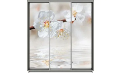 Dulap Print 3 Usi 2121, L270 x H220 x A60